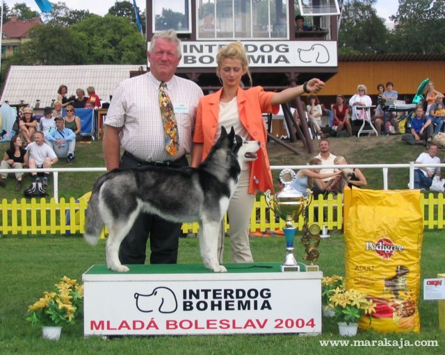 mladboleslav20045.jpg